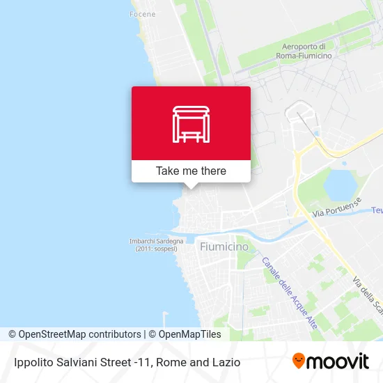 Ippolito Salviani Street -11 map