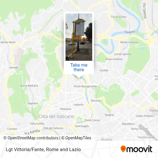 Lungotevere Vittoria/Fante map
