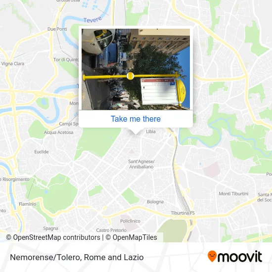 Nemorense/Tolero map