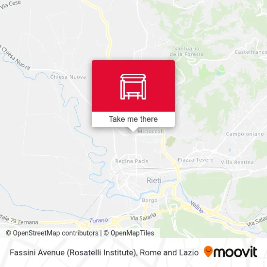 Fassini Avenue (Rosatelli Institute) map