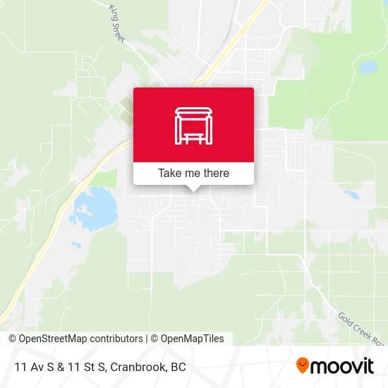 11 Av S & 11 St S map