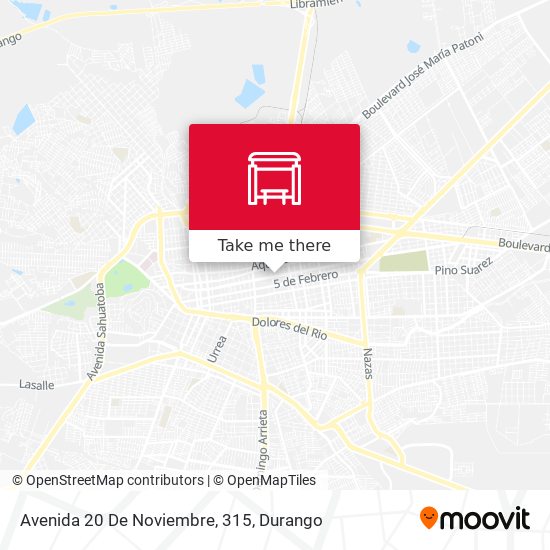 Avenida 20 De Noviembre, 315 map