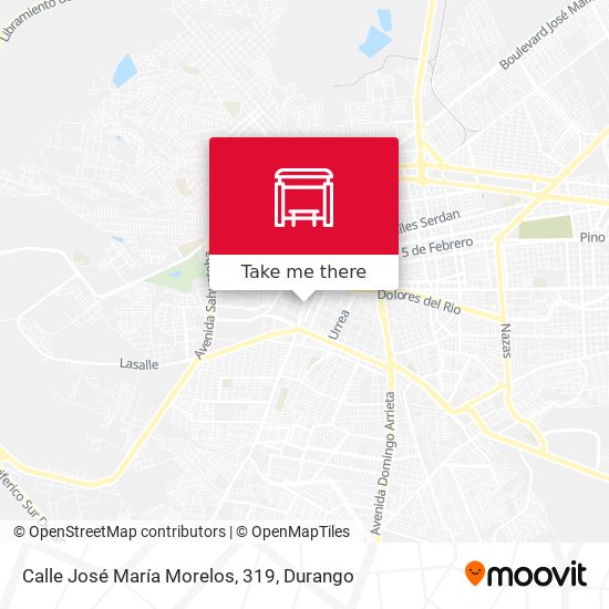 Mapa de Calle José María Morelos, 319