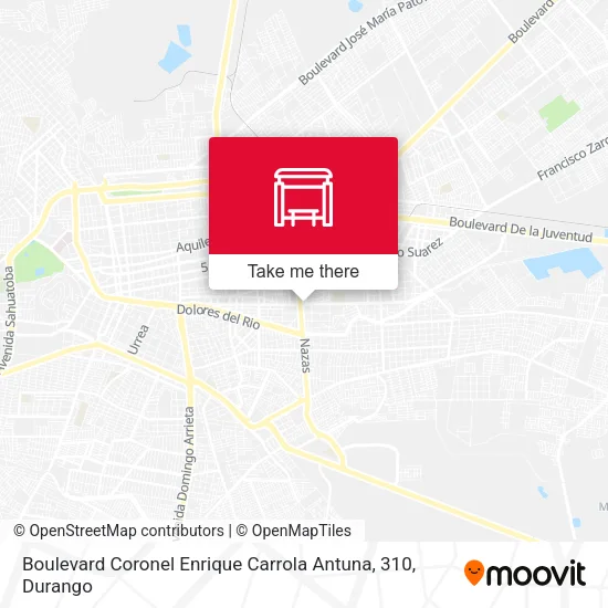 Mapa de Boulevard Coronel Enrique Carrola Antuna, 310