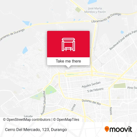 Mapa de Cerro Del Mercado, 123