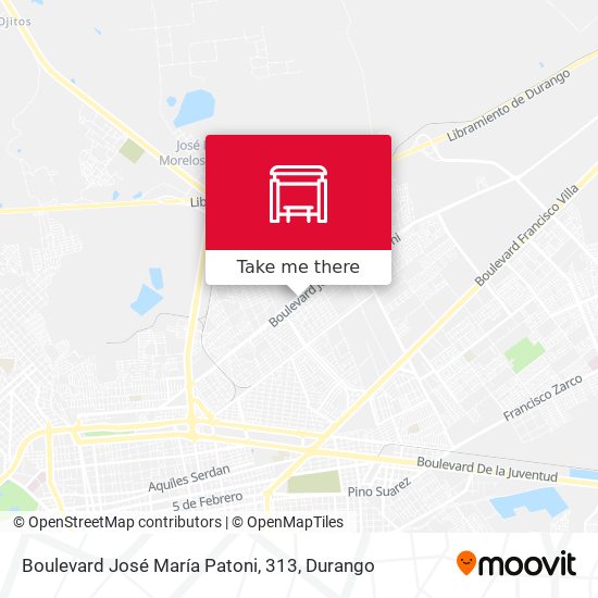 Boulevard José María Patoni, 313 map