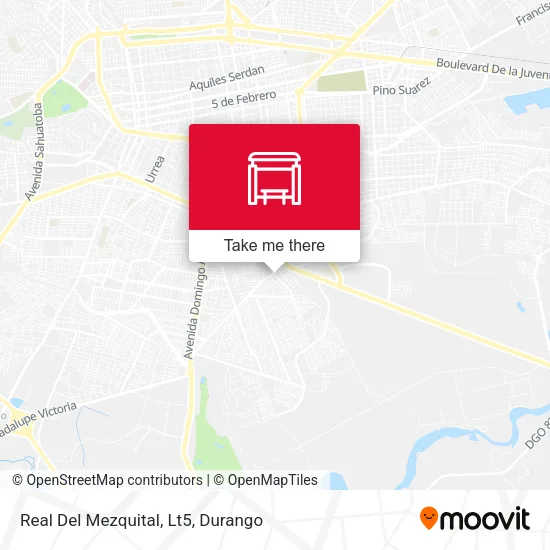 Mapa de Real Del Mezquital, Lt5
