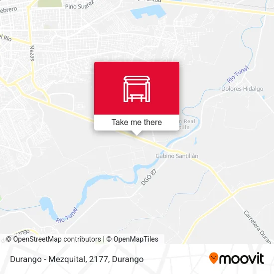 Mapa de Durango - Mezquital, 2177