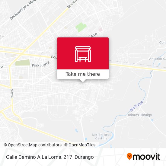 Mapa de Calle Camino A La Loma, 217