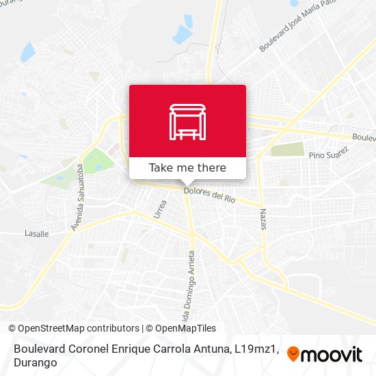 Boulevard Coronel Enrique Carrola Antuna, L19mz1 map