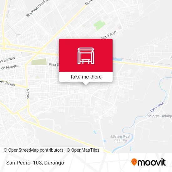 Mapa de San Pedro, 103