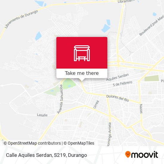 Mapa de Calle Aquiles Serdan, S219