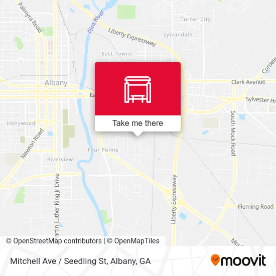 Mitchell Ave / Seedling St map
