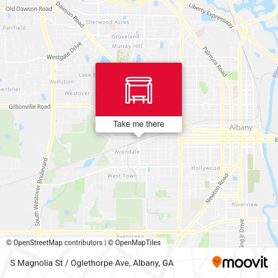 S Magnolia St / Oglethorpe Ave map