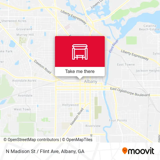 N Madison St / Flint Ave map