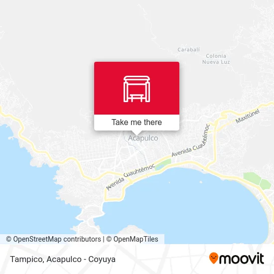 Tampico map