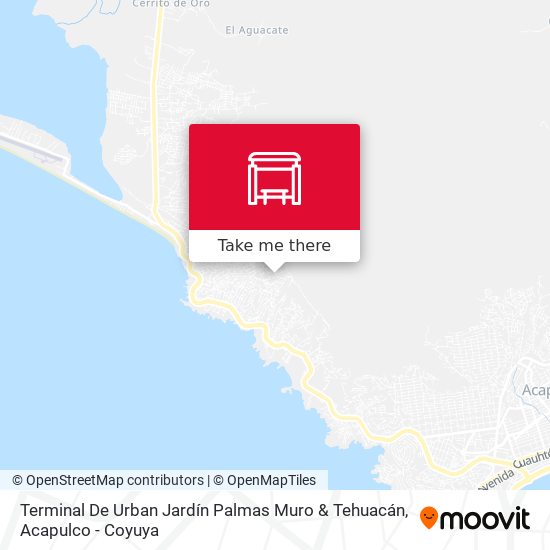 Terminal De Urban Jardín Palmas Muro & Tehuacán map