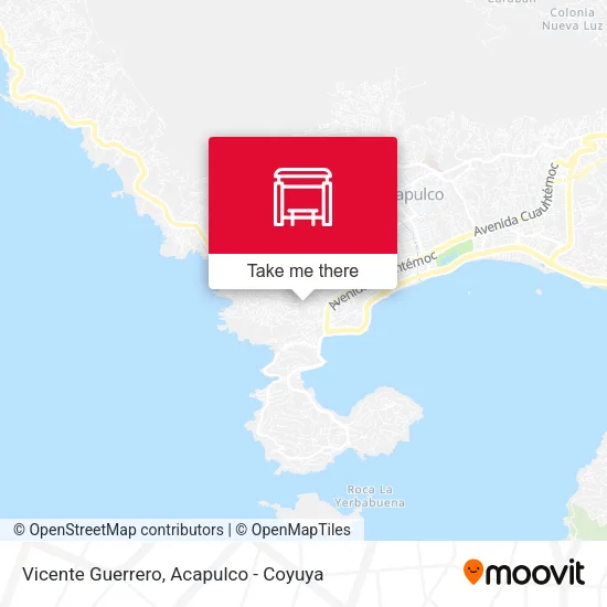 Mapa de Vicente Guerrero