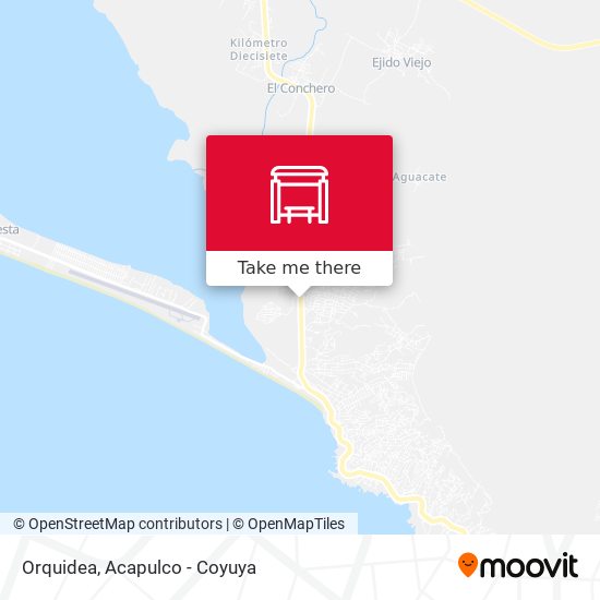 Mapa de Orquidea