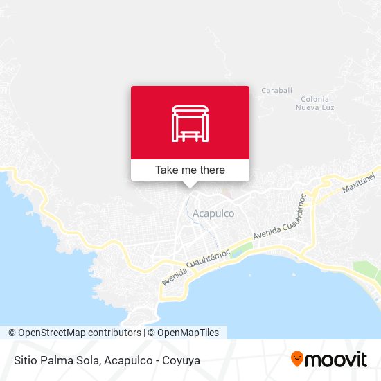 Mapa de Sitio Palma Sola