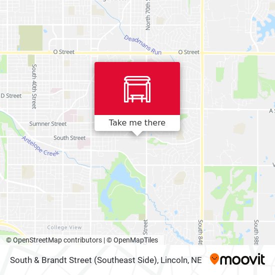 South & Brandt Street (Southeast Side) map