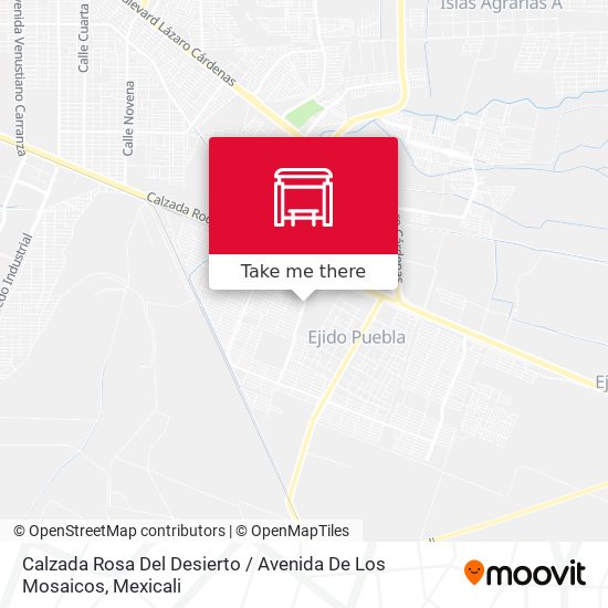 Calzada Rosa Del Desierto / Avenida De Los Mosaicos map