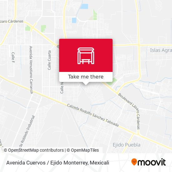 Mapa de Avenida Cuervos / Ejido Monterrey