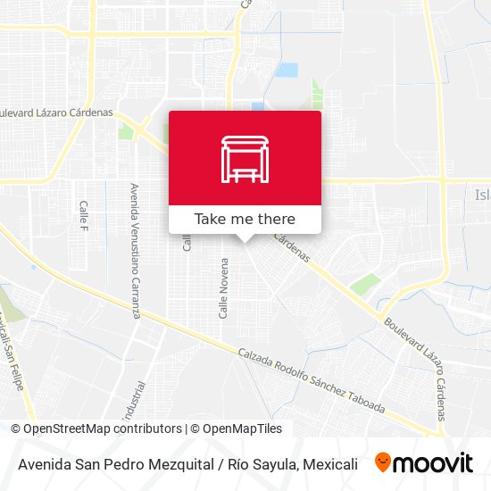 Avenida San Pedro Mezquital / Río Sayula map