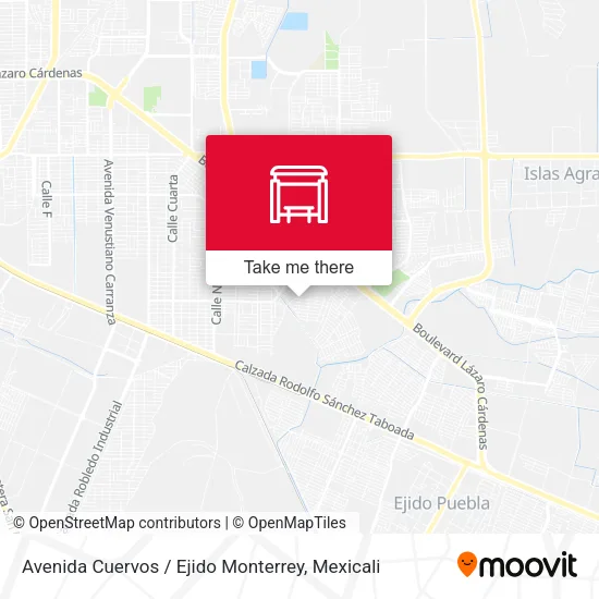 Mapa de Avenida Cuervos / Ejido Monterrey