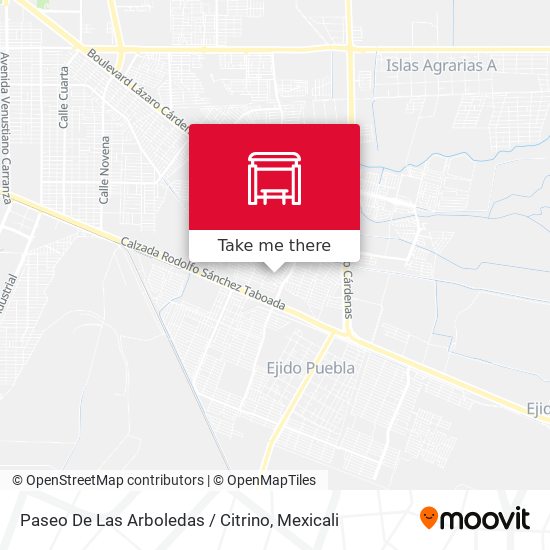 Paseo De Las Arboledas / Citrino map