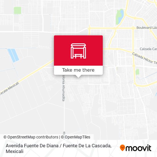 Avenida Fuente De Diana / Fuente De La Cascada map
