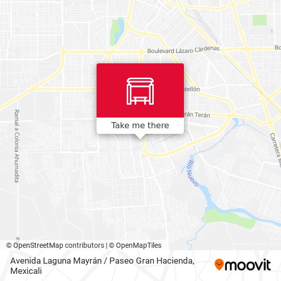 Avenida Laguna Mayrán / Paseo Gran Hacienda map