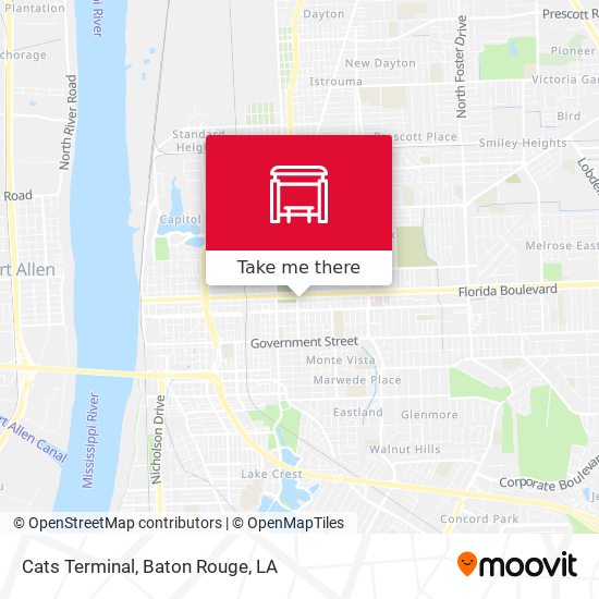 Mapa de Cats Terminal