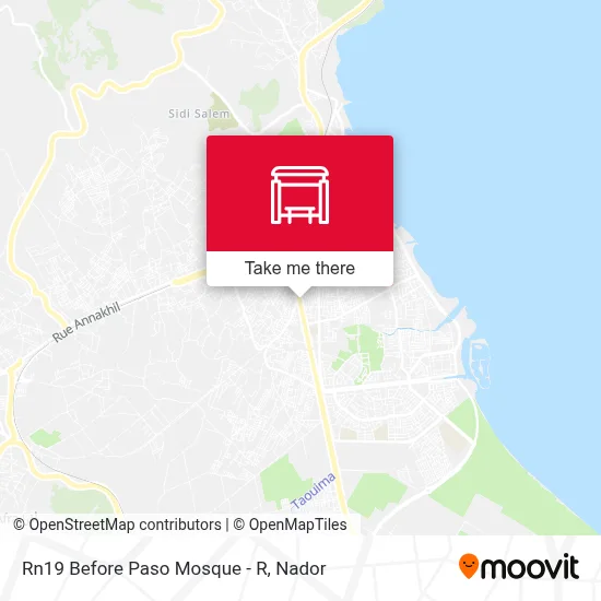 Rn19 Before Paso Mosque - R map