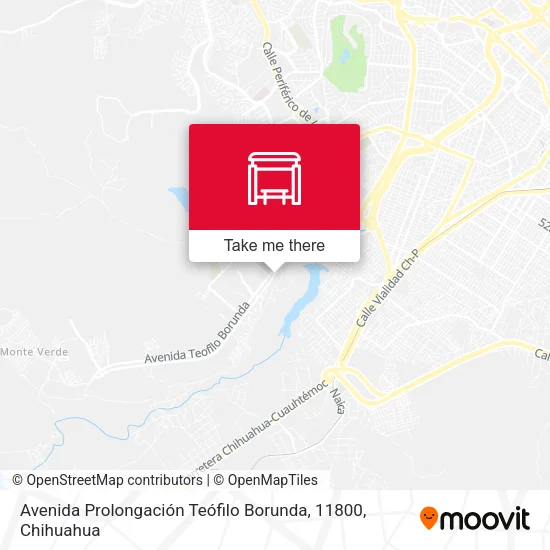 Mapa de Avenida Prolongación Teófilo Borunda, 11800