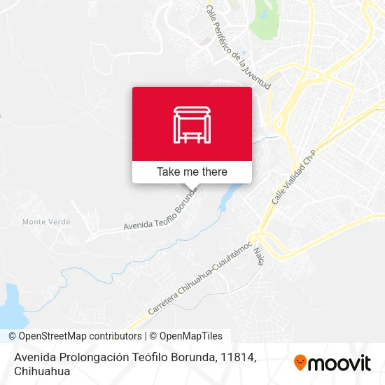 Mapa de Avenida Prolongación Teófilo Borunda, 11814