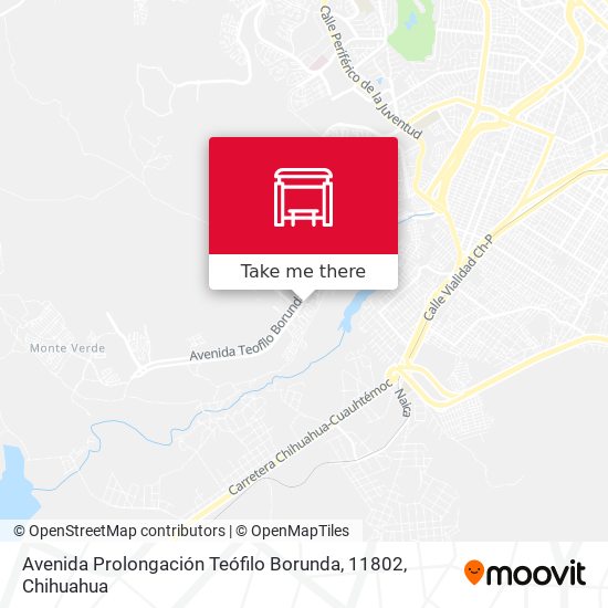 Mapa de Avenida Prolongación Teófilo Borunda, 11802