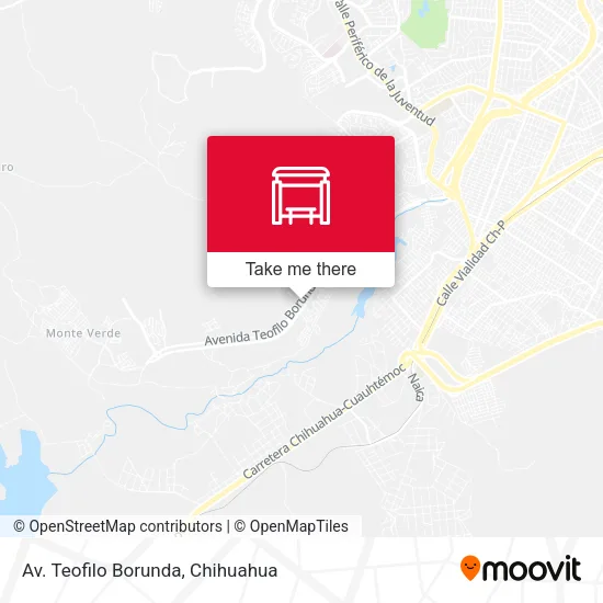 Mapa de Av. Teofilo Borunda