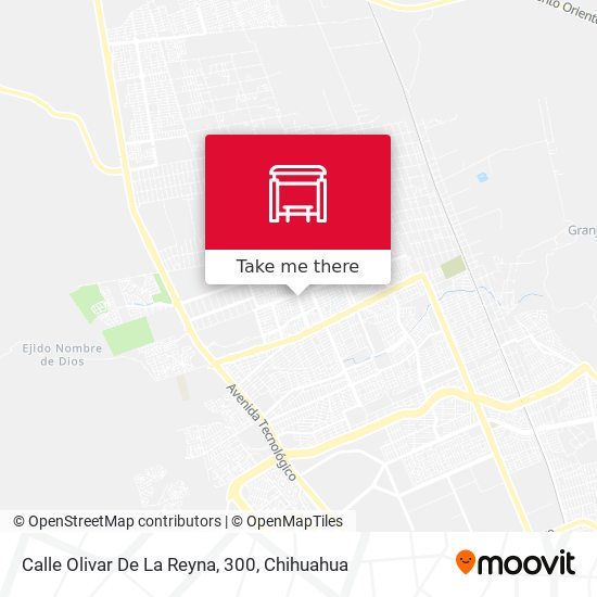 Mapa de Calle Olivar De La Reyna, 300