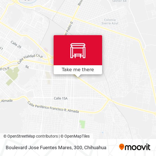 Boulevard Jose Fuentes Mares, 300 map