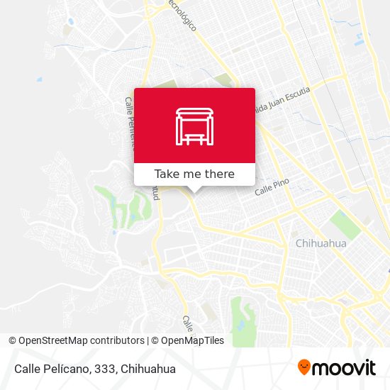 Calle Pelícano, 333 map
