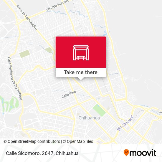 Mapa de Calle Sicomoro, 2647