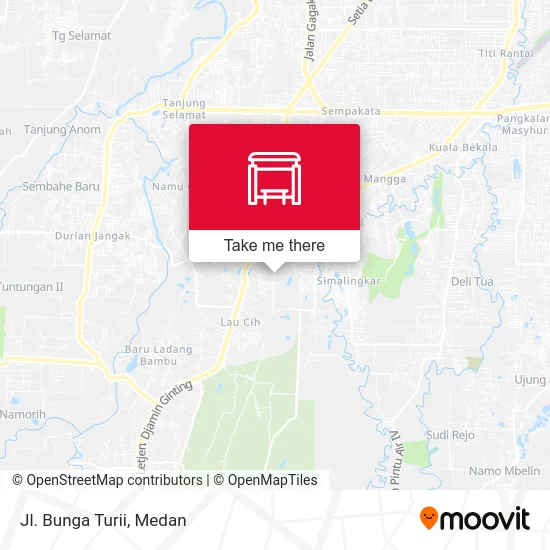 Jl. Bunga Turii map