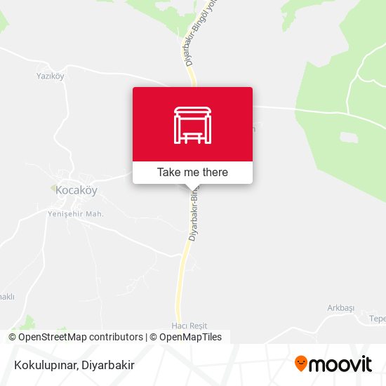 Kokulupınar map