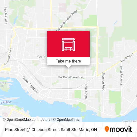 Pine Street @ Chlebus Street map