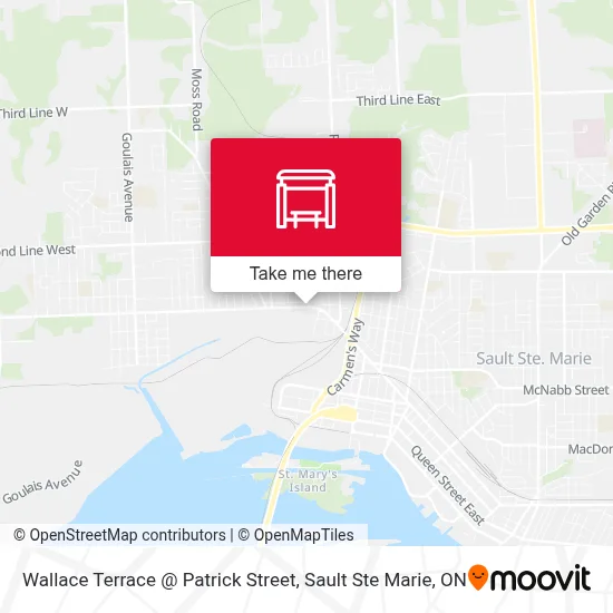 Wallace Terrace @ Patrick Street map