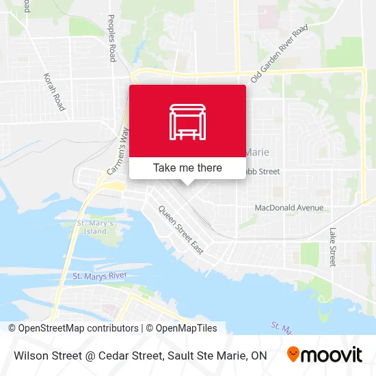 Wilson Street @ Cedar Street map