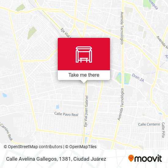 Mapa de Calle Avelina Gallegos, 1381