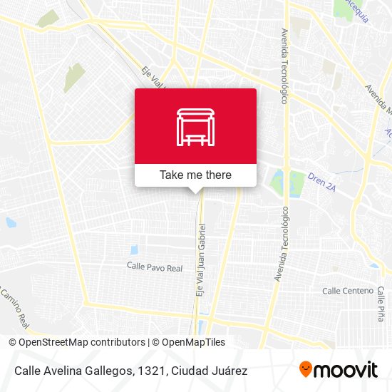 Mapa de Calle Avelina Gallegos, 1321