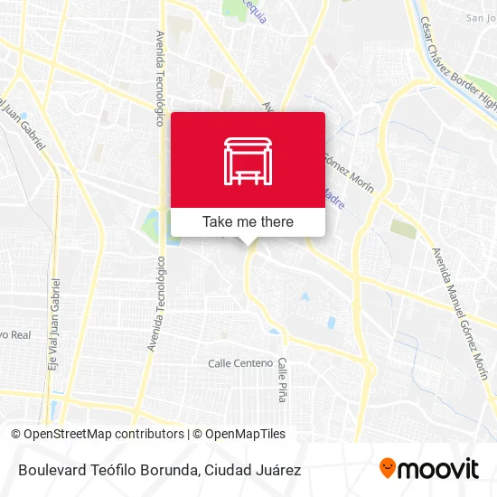 Boulevard Teófilo Borunda map